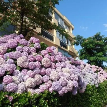 Lejlighed Cote D'azur Bormes-les-Mimosas